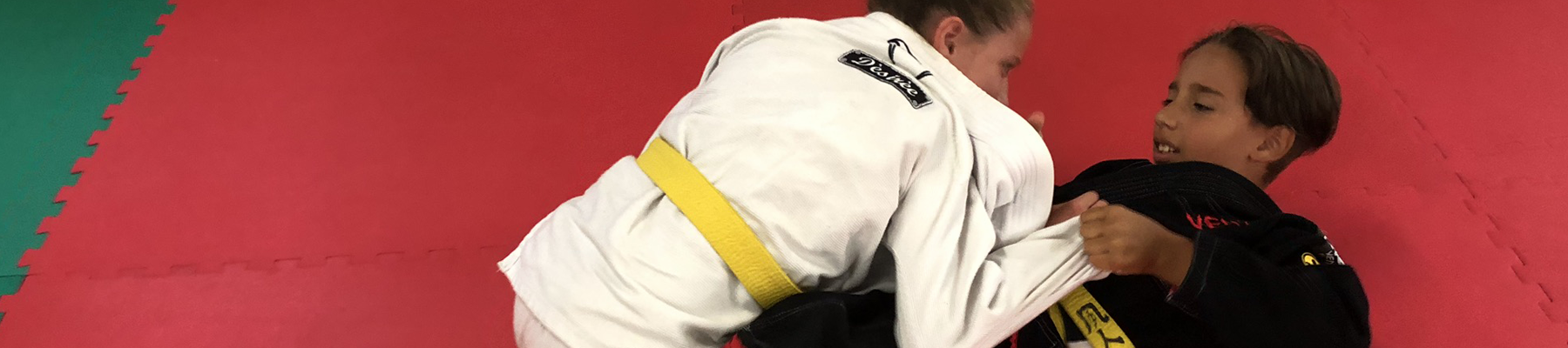 A.S.D. Jiu-Jitsu metodo Bianchi – JMB Fight Team